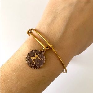 Alex and Ani Sagittarius Charm Bangle
